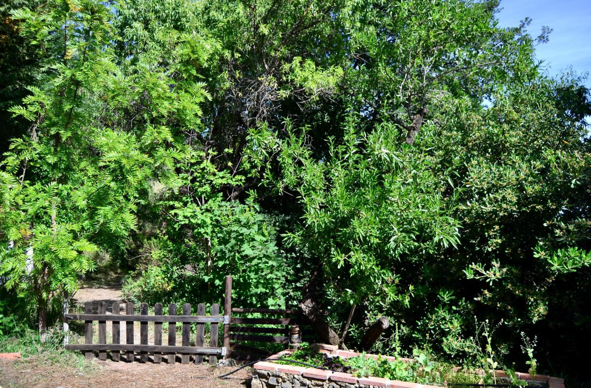Casa Jardin Natural Sedella Екстер'єр фото